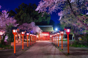 京都 平野神社 桜 ライトアップ Caedekyoto カエデ京都 紅葉と伝統美を引き継ぐバッグ