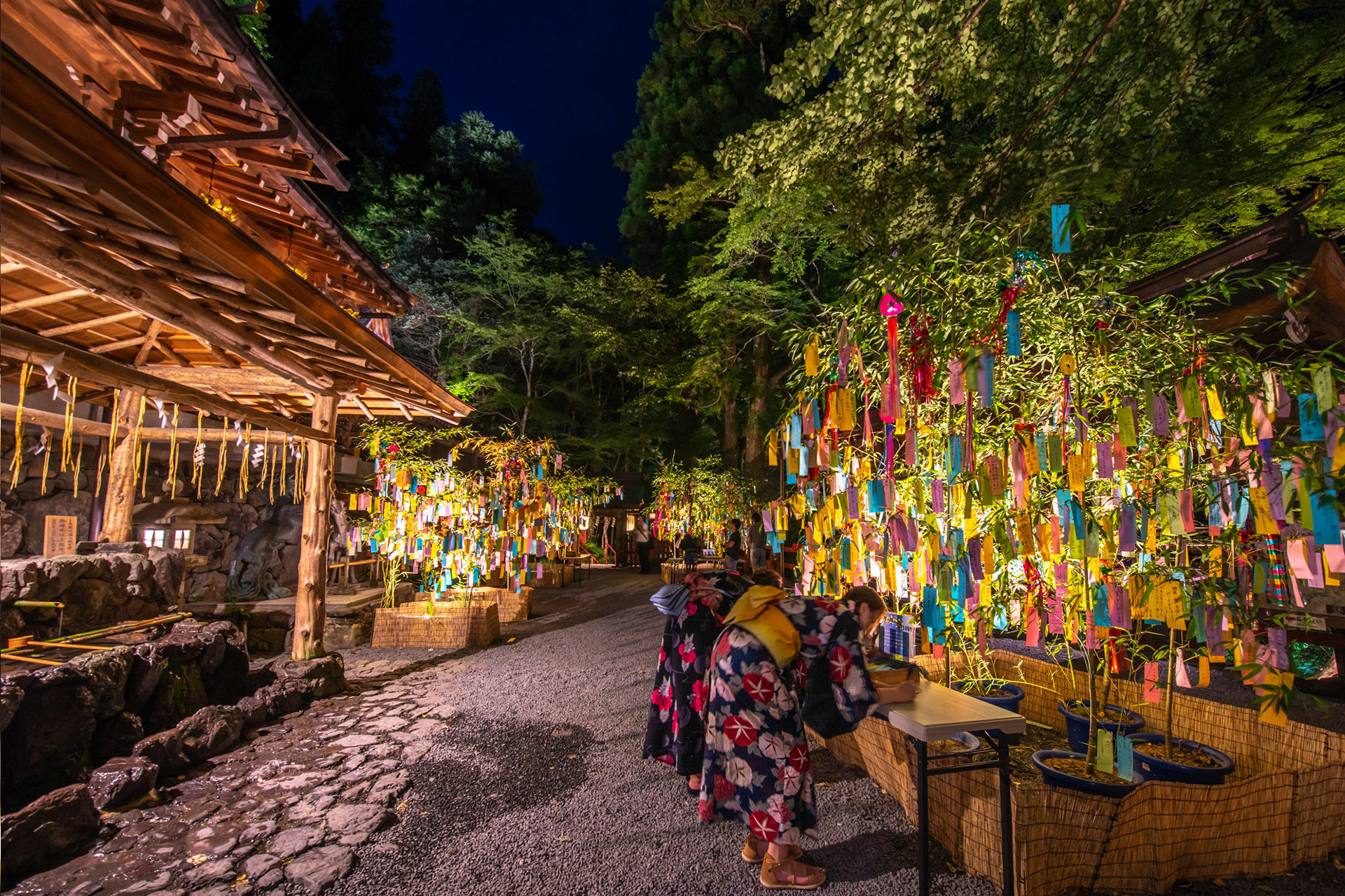 夏は京都のライトアップを見に行きませんか 夏のライトアップ おすすめスポットをご紹介 Caedekyoto カエデ京都 紅葉と伝統美を引き継ぐバッグ