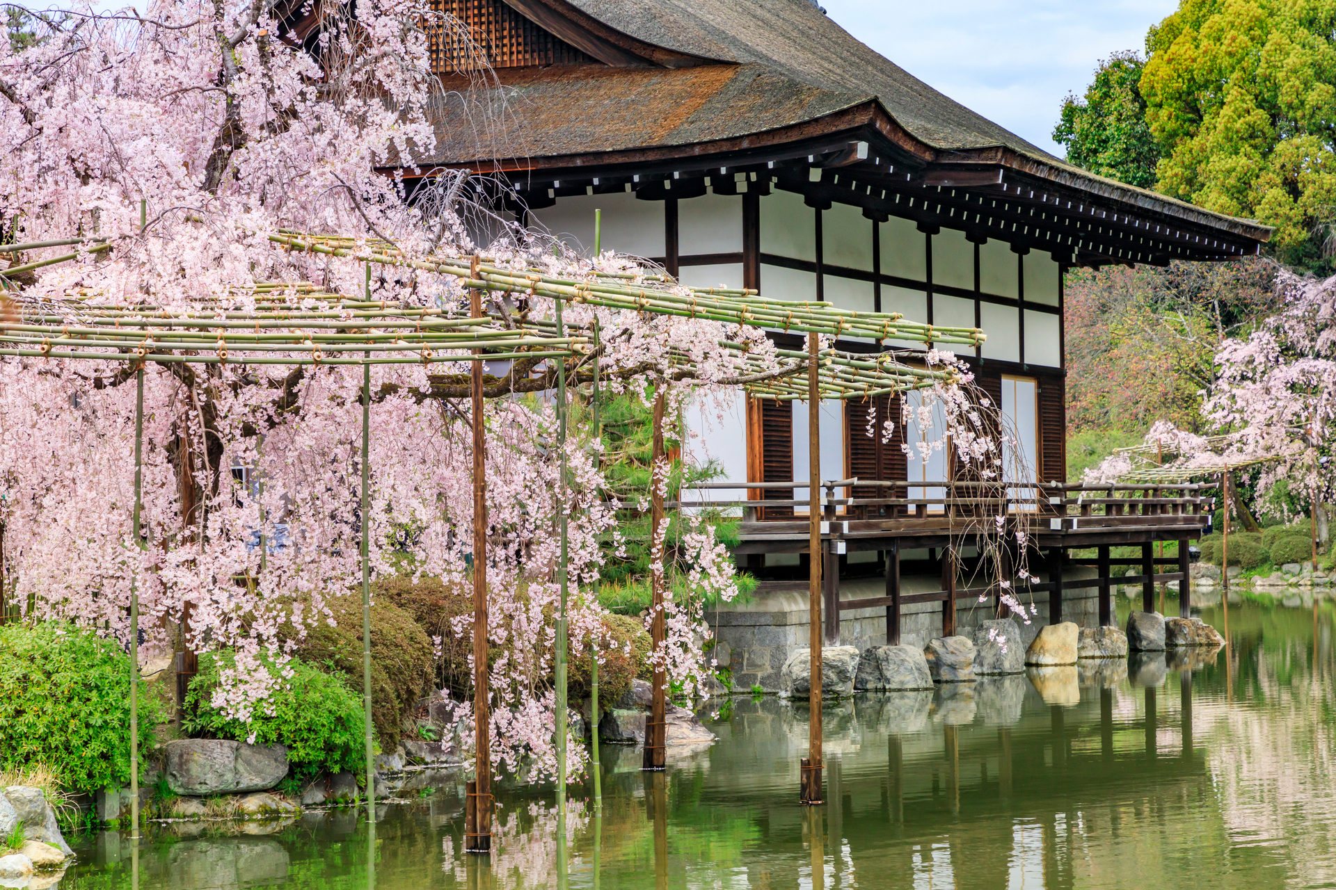 春の京都のデートスポットといえばここ 大事な二人のひとときを 春の京都で楽しみませんか Caedekyoto カエデ京都 紅葉と伝統美を引き継ぐバッグ