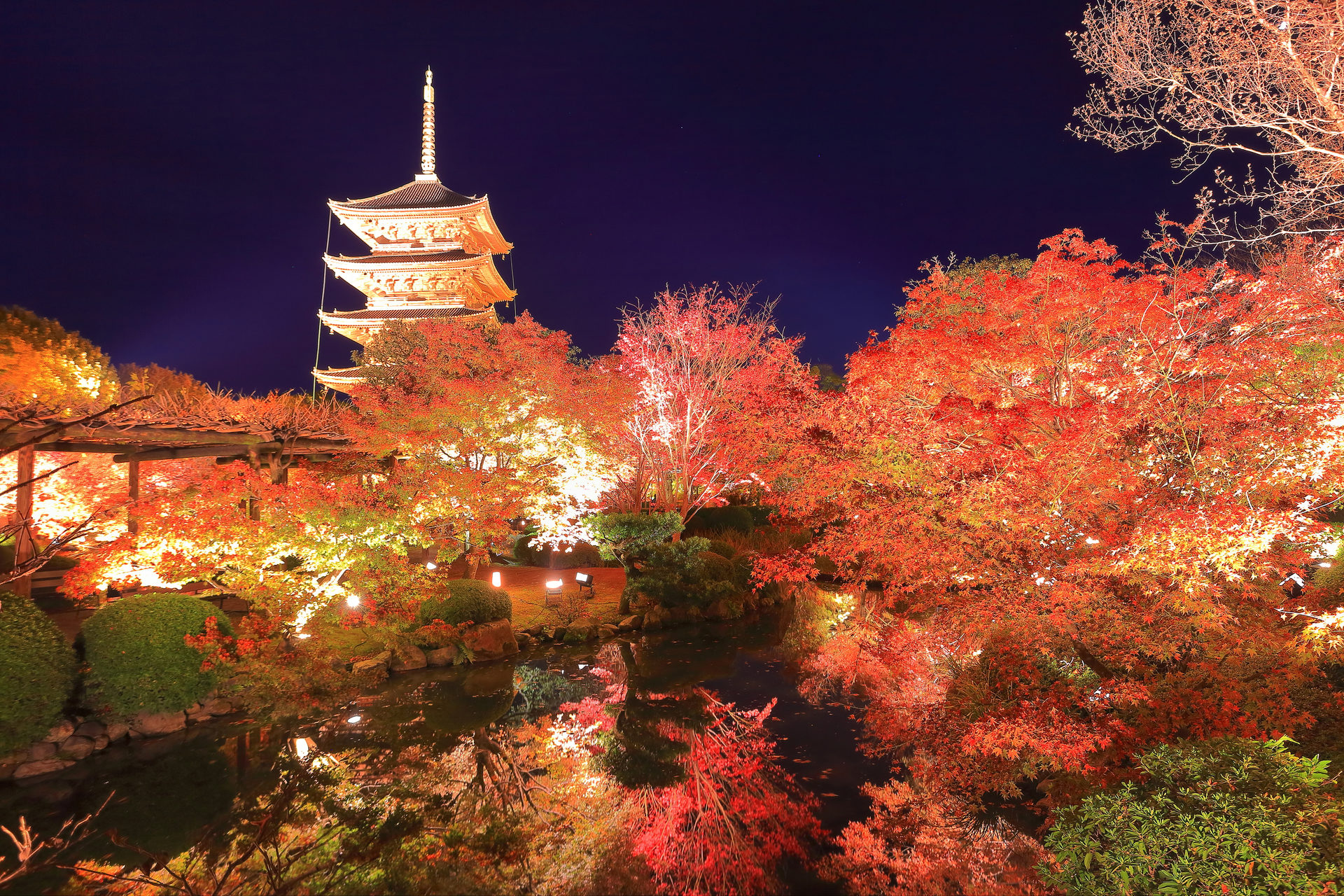 京都で桜の穴場と言えば 東寺 その魅力とは Caedekyoto カエデ京都 紅葉と伝統美を引き継ぐバッグ