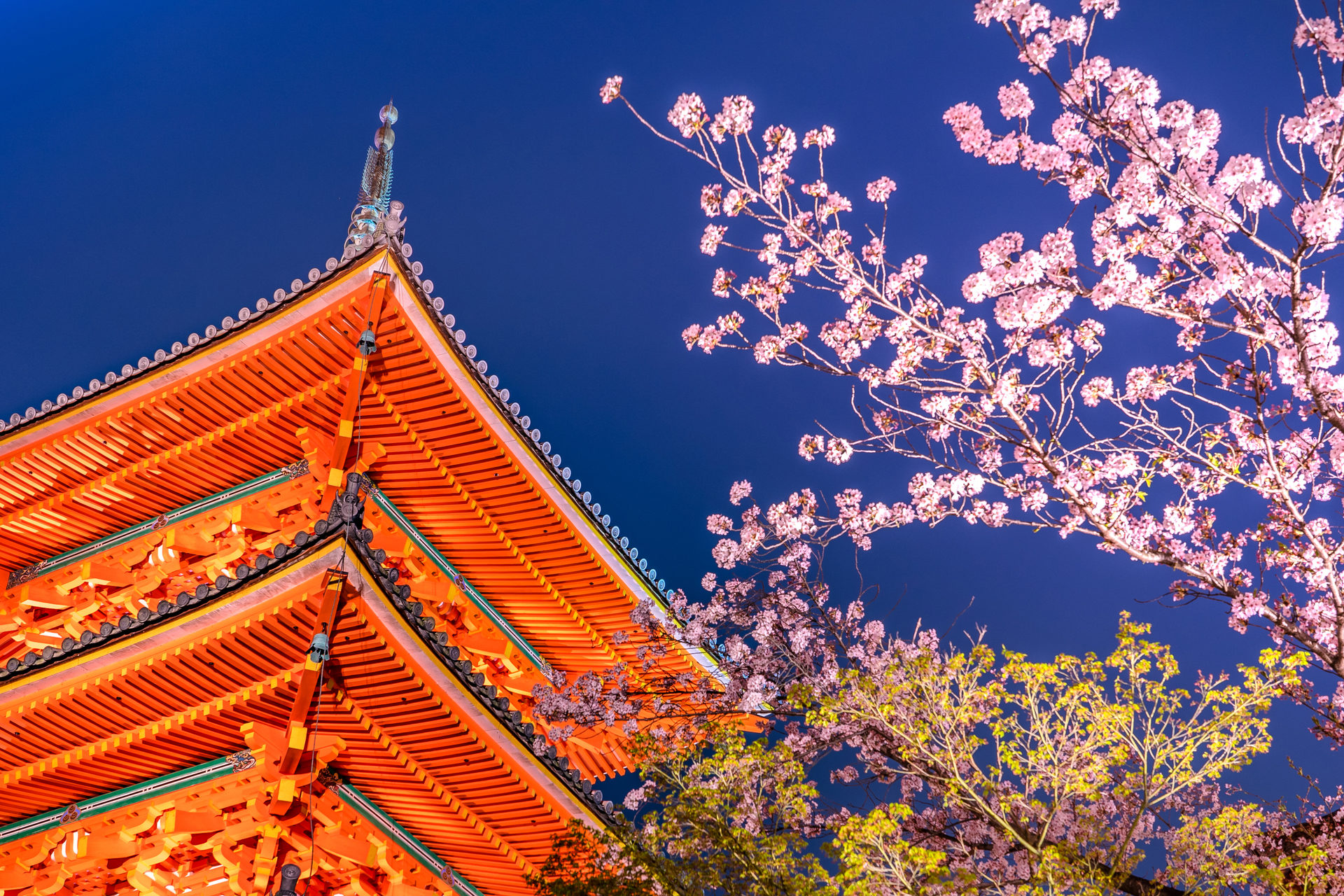 春の京都は魅力満載 京都でとっておきの春を見つけてませんか Caedekyoto カエデ京都 紅葉と伝統美を引き継ぐバッグ