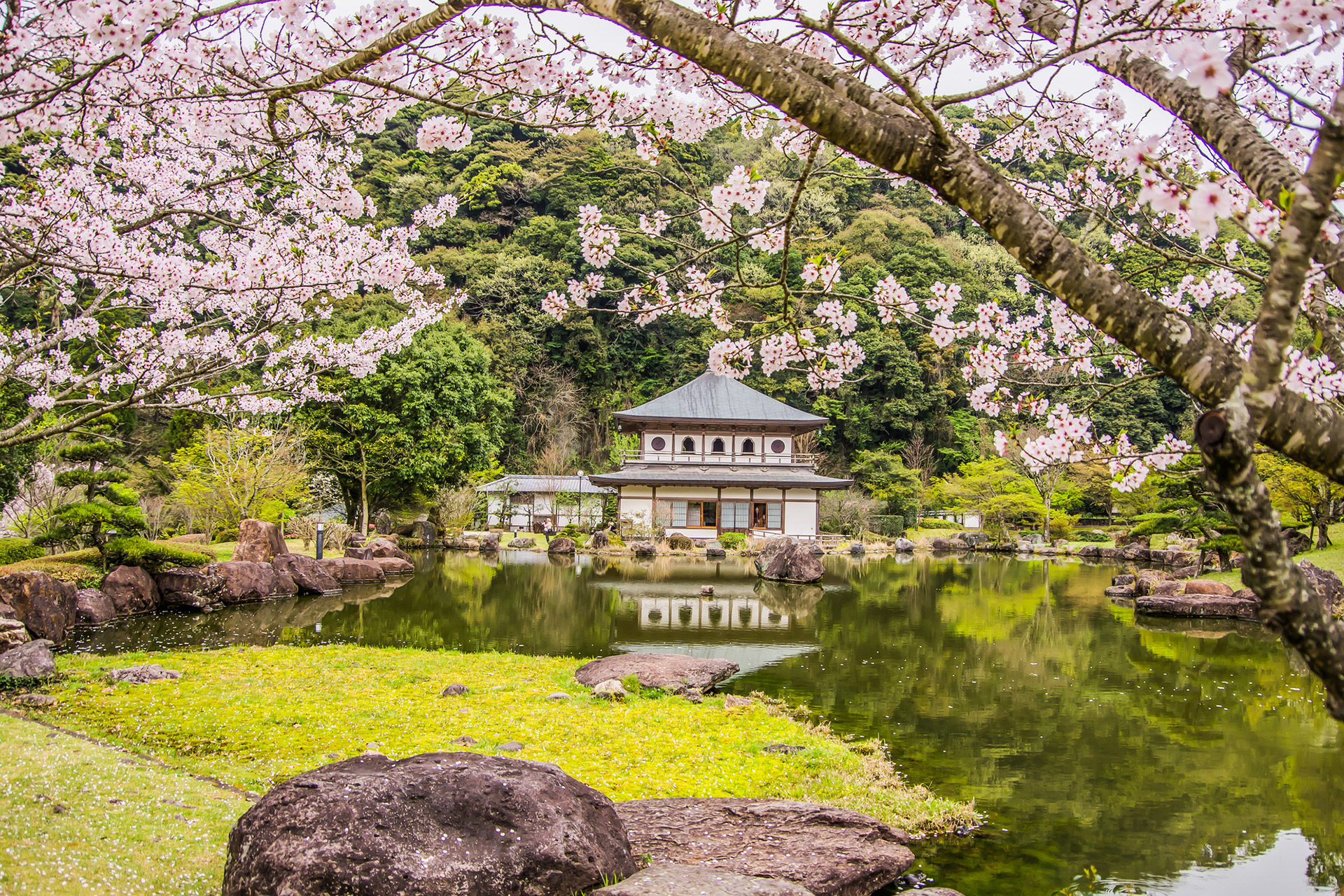 金閣寺 桜 Caedekyoto カエデ京都 紅葉と伝統美を引き継ぐバッグ
