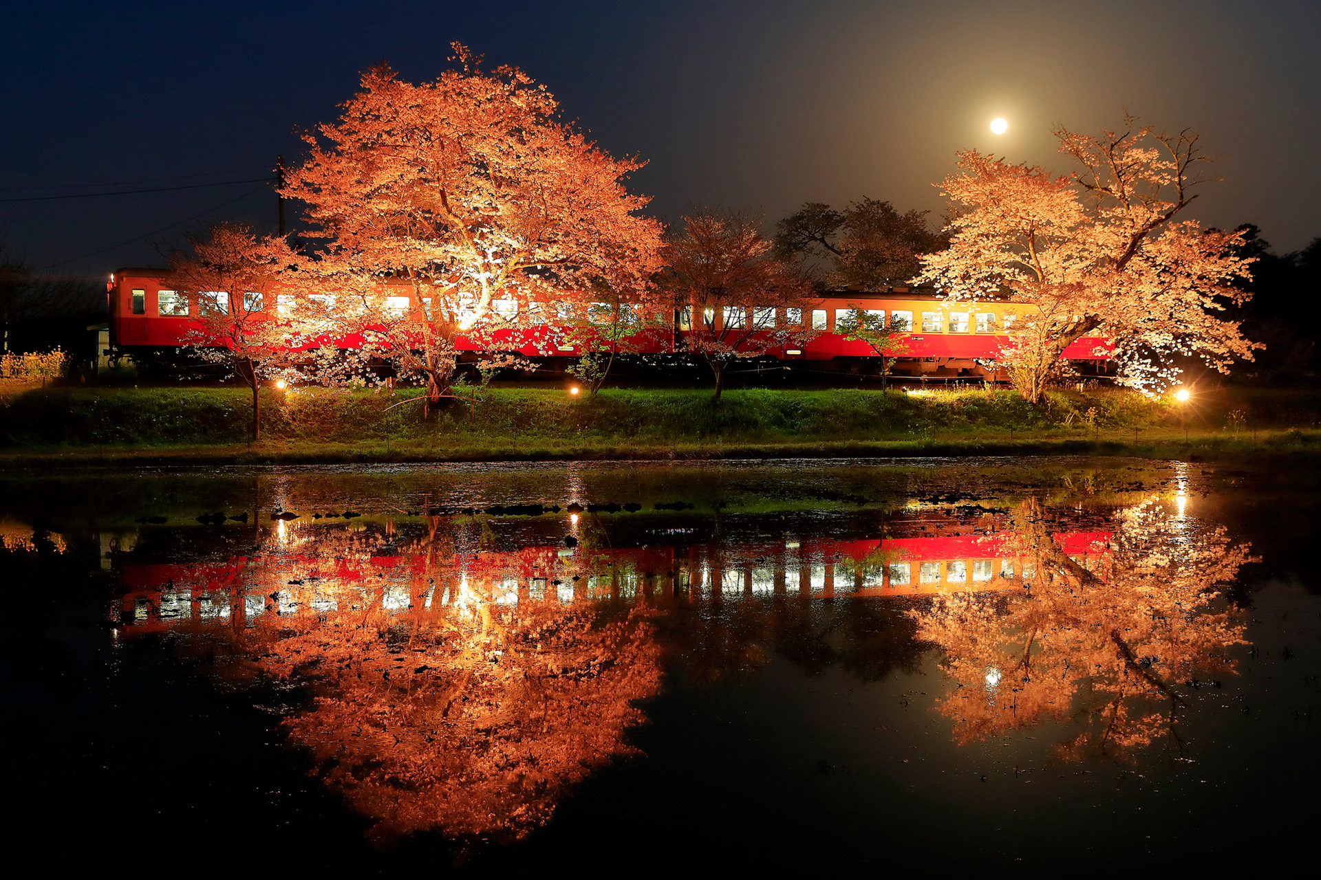京都の有名観光地 嵐山 ここで見られる桜の絶景とは Caedekyoto カエデ京都 紅葉と伝統美を引き継ぐバッグ