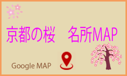 京都　桜　名所マップ