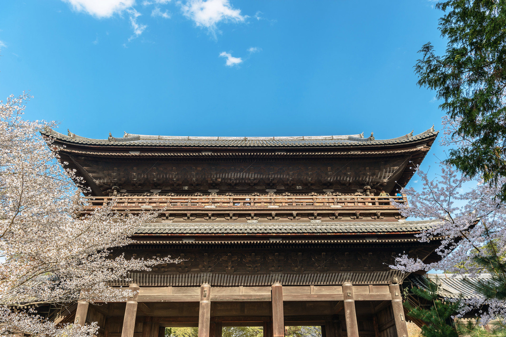 京都-南禅寺-桜-風景