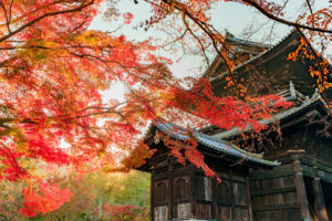 京都-南禅寺-紅葉