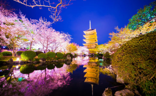 京都-夜桜-イメージ