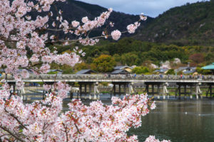 京都-嵐山-桜