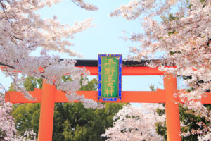京都-平野神社-桜-門