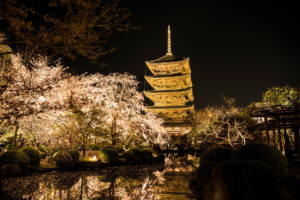 京都-東寺-ライトアップ
