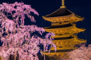 京都-東寺-ライトアップ-イメージ