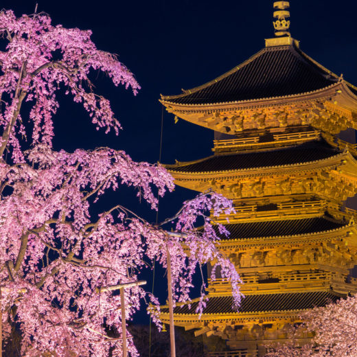 京都-東寺-ライトアップ-イメージ