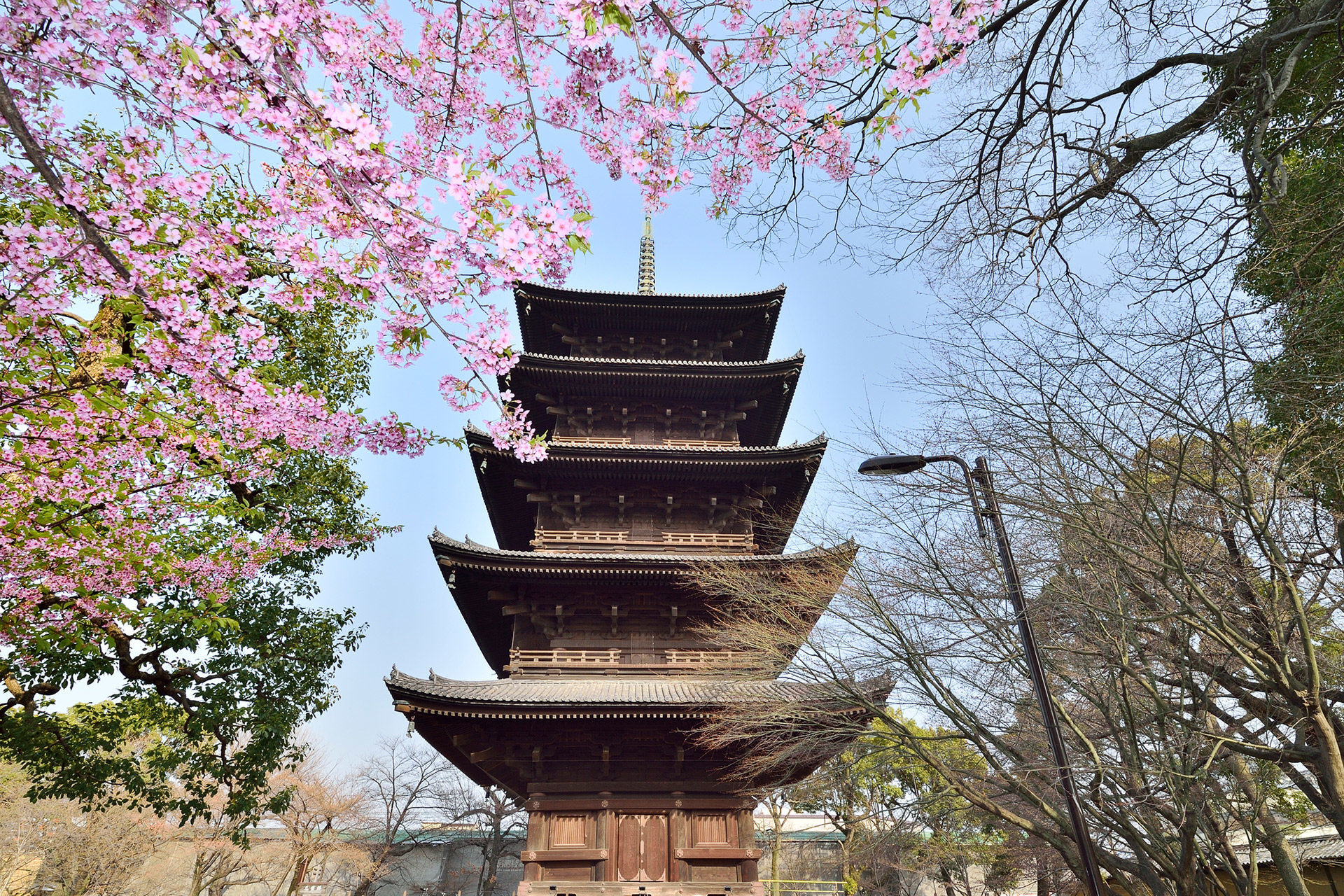 京都　東寺　五重塔