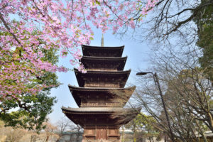 京都-東寺-五重塔