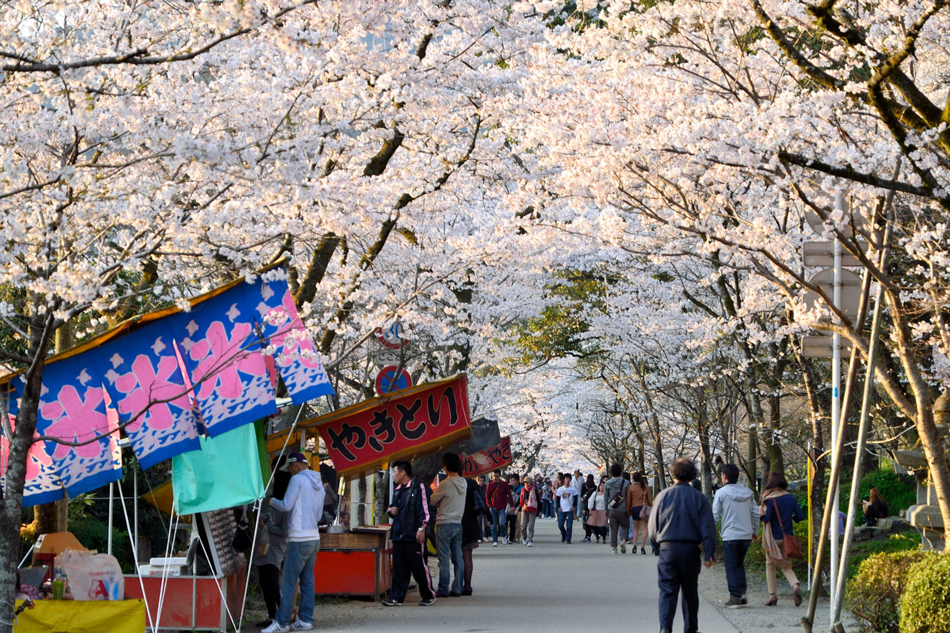 京都-桜-屋台