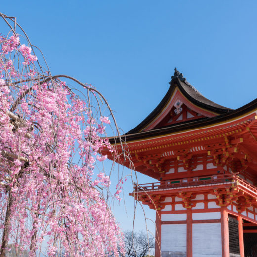 京都-清水寺-桜