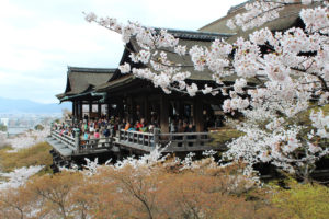 京都-清水寺-桜-イメージ