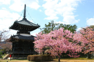 京都-清涼寺-イメージ