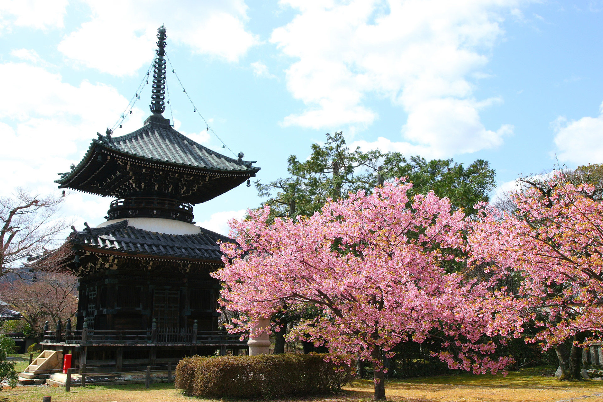 京都-清涼寺-イメージ