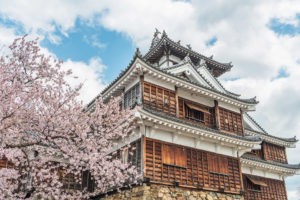 京都-福知山城-桜