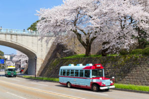 桜-バスツアー-イメージ