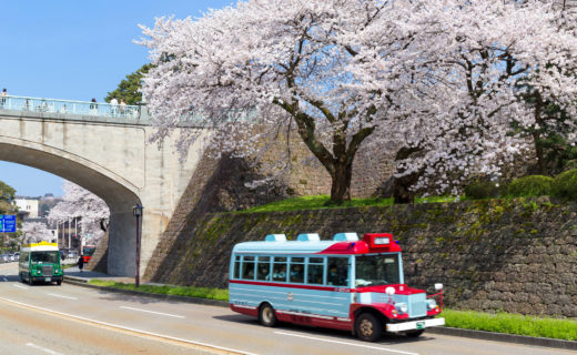 桜-バスツアー-イメージ