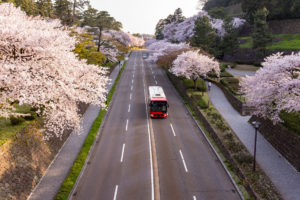 桜-バスツアー-イメージ-風景