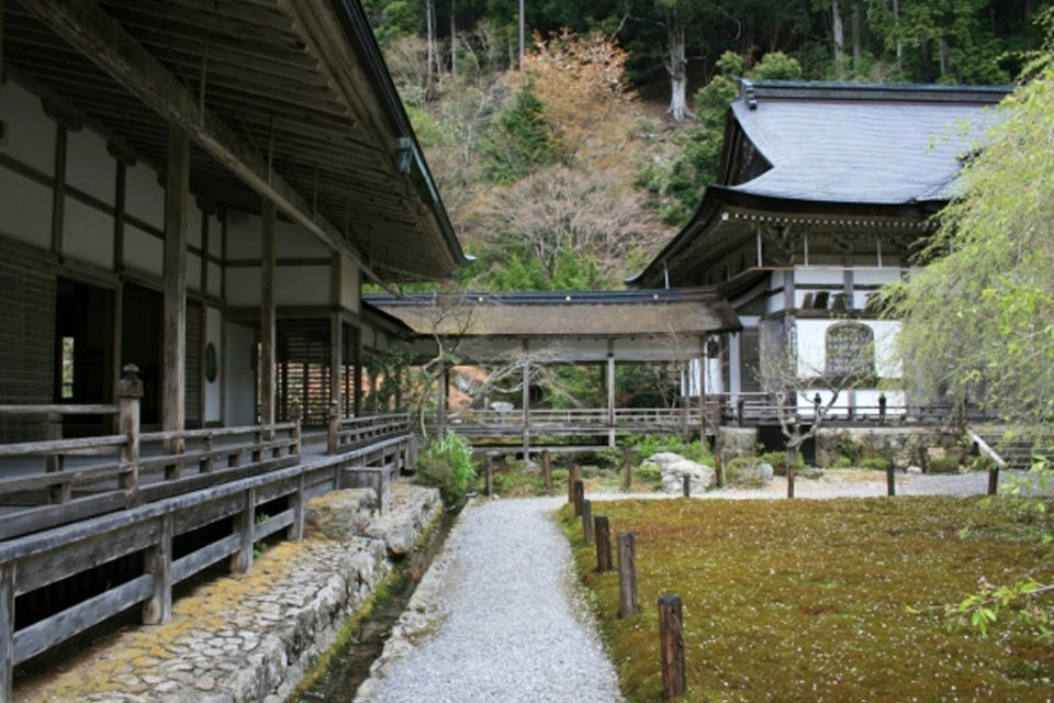 常照皇寺