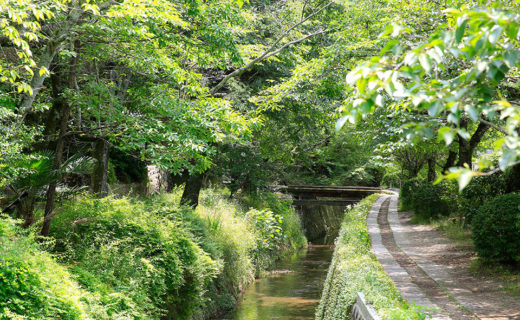 京都_哲学の道