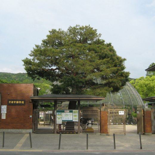 京都市動物園