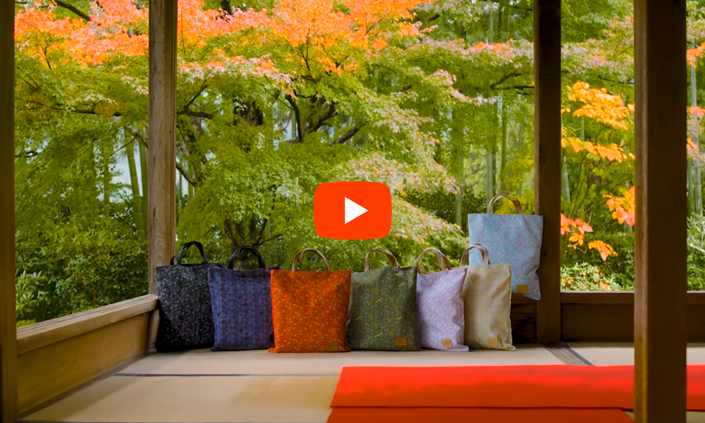 京都 宝泉院 紅葉の絶景(4K)カエデ・エリシア京都 caede|L’ELISIR KYOTO