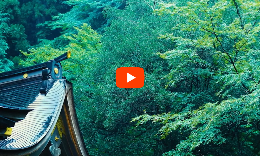 貴船神社 青紅葉（4K）京都 春夏の風情 カエデ・エリシア京都 caede|L’ELISR KYOTO