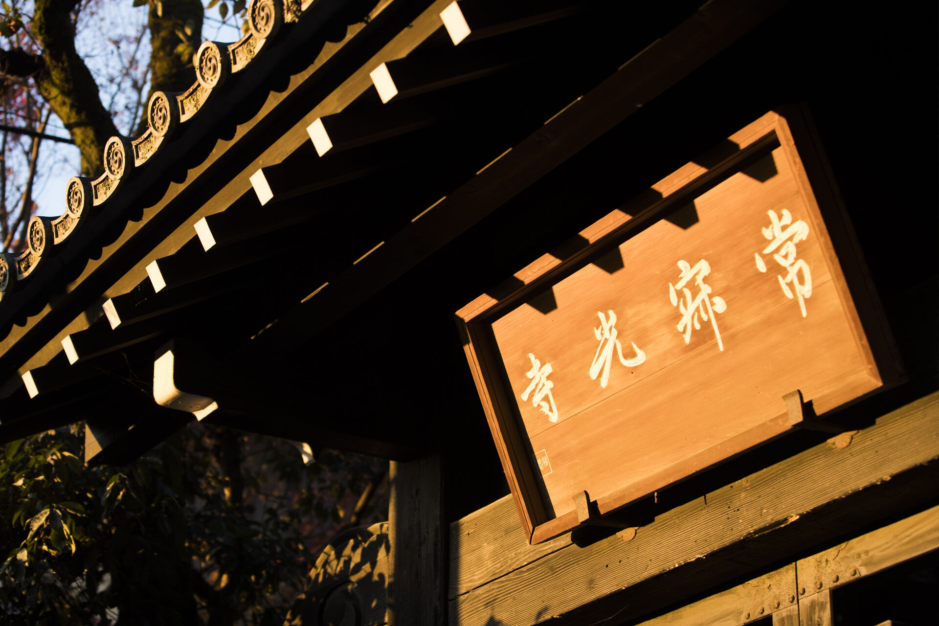 常寂光寺 の秋の紅葉と春の青もみじ その京都随一の魅力とは Caedekyoto カエデ京都 紅葉と伝統美を引き継ぐバッグ