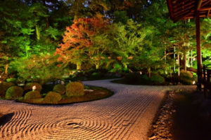 京都_曼殊院の庭園