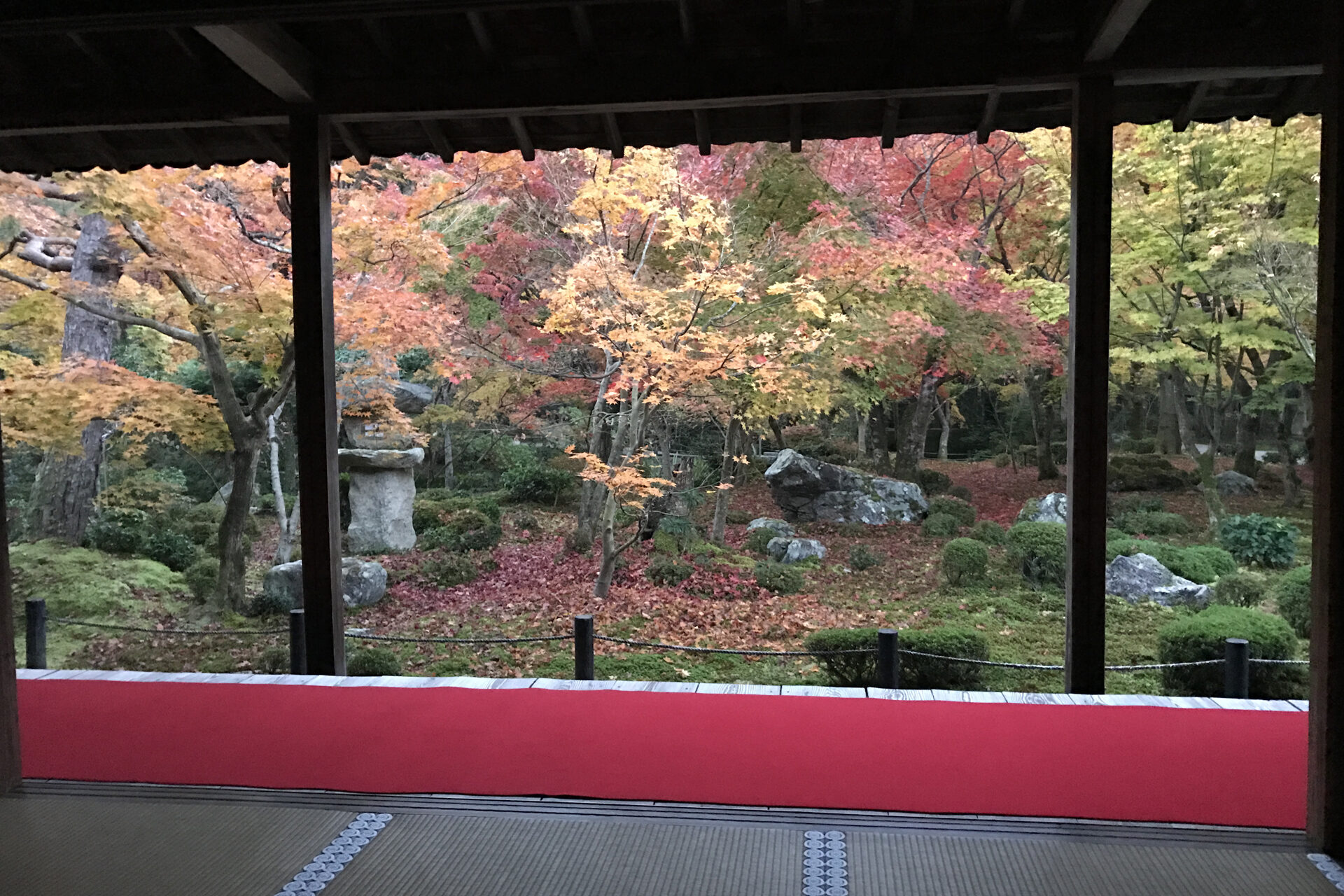 京都　圓光寺