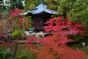 清凉寺と紅葉