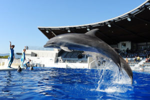 京都水族館