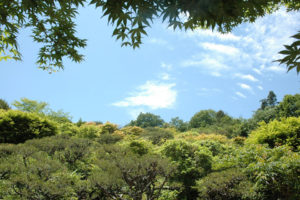 嵐山公園展望台
