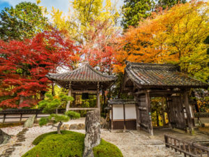 長安寺　紅葉