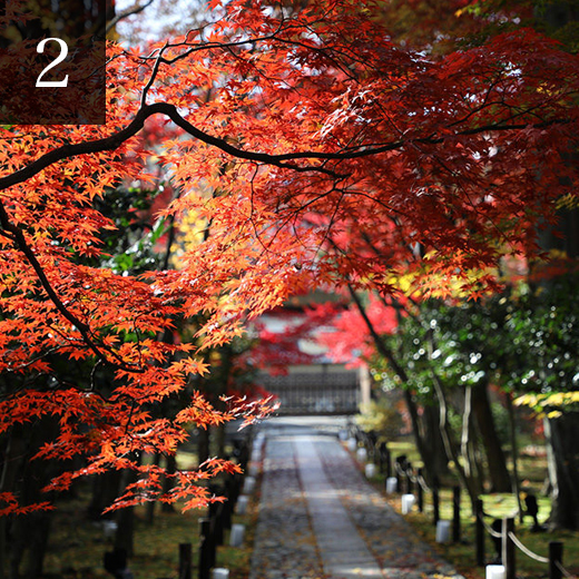 京都の紅葉名所ランキング27選 21年 はいつがベストな見頃 綺麗に 色づく紅葉の名所スポットから 穴場までを紅葉の見頃の時期と合わせてご紹介します Caedekyoto カエデ京都 紅葉と伝統美を引き継ぐバッグ