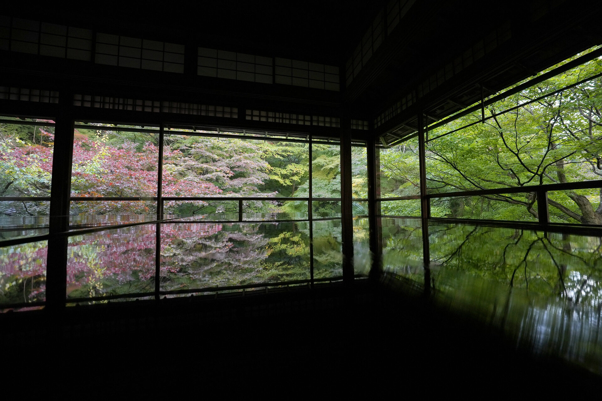 京都の人気スポット 瑠璃光院 で観られる紅葉の美しさの秘密とは 一番の見どころや見頃をご紹介 Caedekyoto カエデ京都 紅葉と伝統美を引き継ぐバッグ