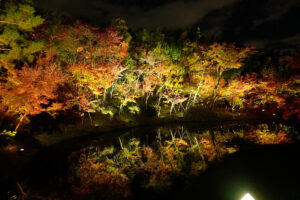 高台寺 紅葉 ライトアップ 京都