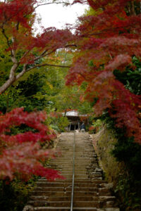 二尊院　紅葉　京都