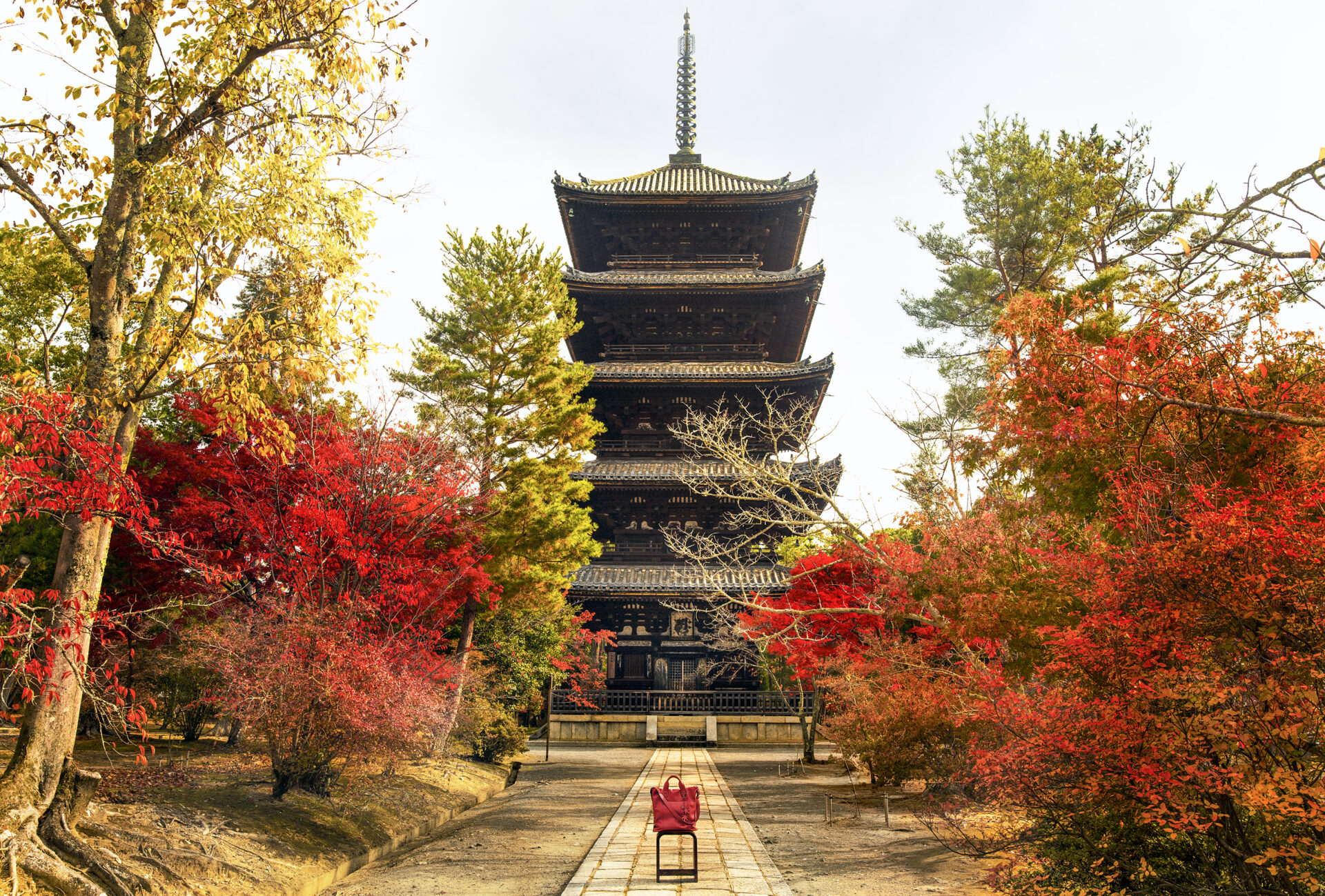 京都の紅葉を見る穴場としてイチオシの仁和寺。その仁和寺の紅葉見頃や見所などをご紹介します。 | caedeKyoto[カエデ京都]  紅葉と伝統美を引き継ぐバッグ