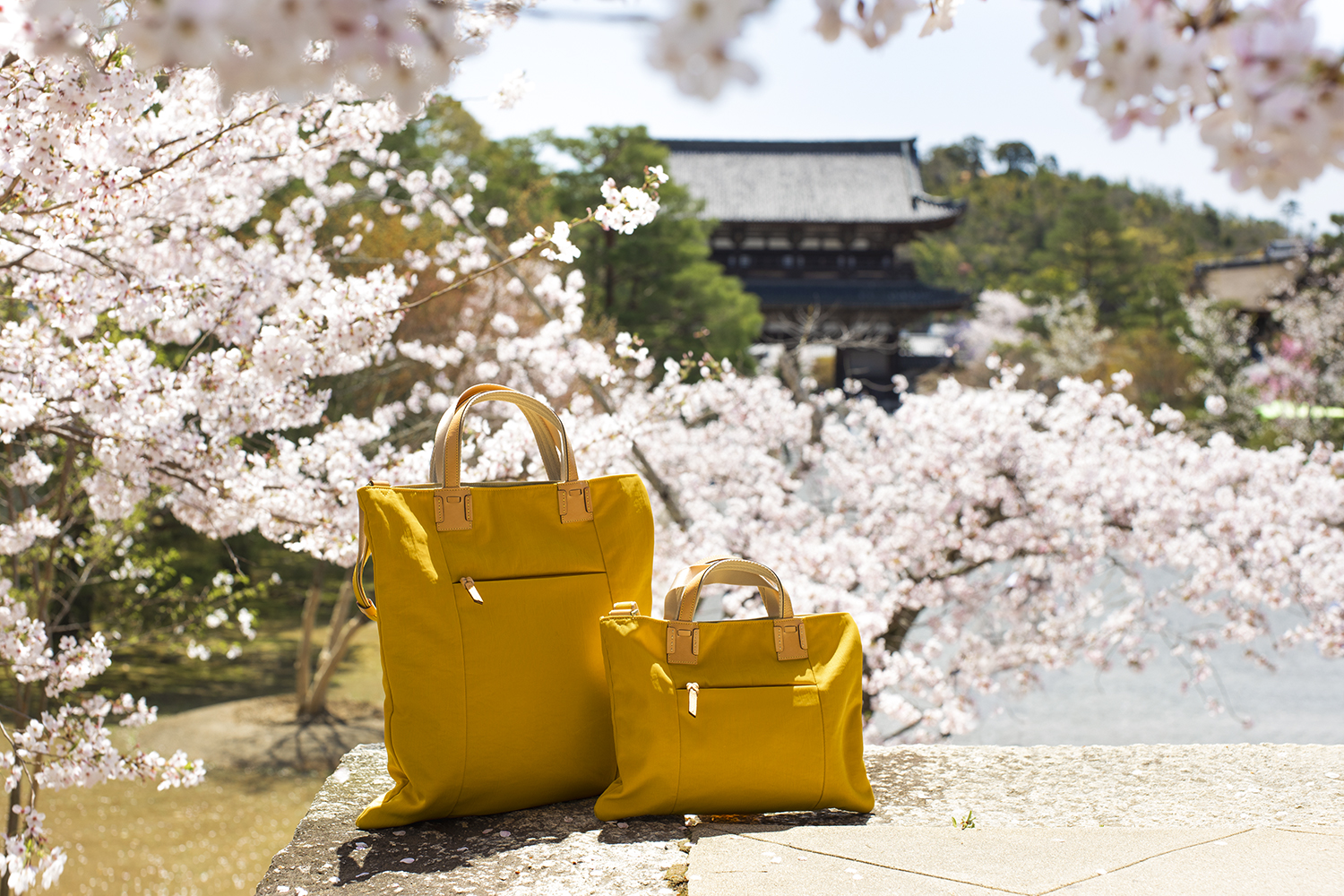 春の桜　京都　仁和寺