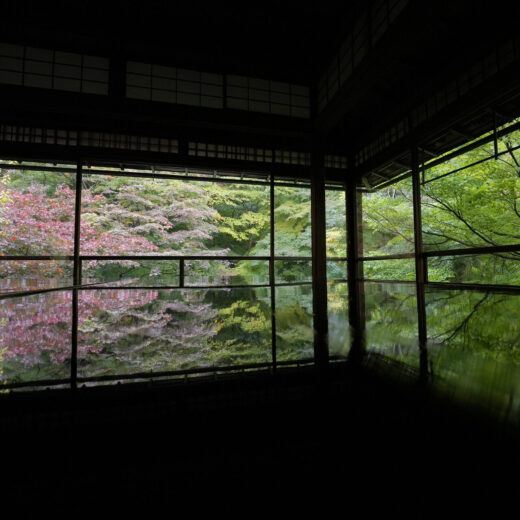 瑠璃光院　京都　紅葉