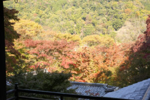 瑠璃光院　京都　紅葉