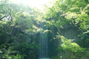 朱雀の庭　滝　梅小路公園　京都　観光名所