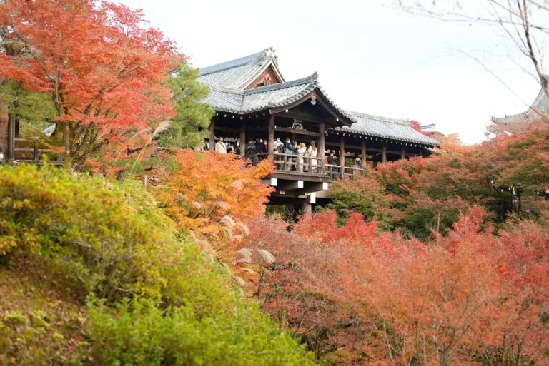 京都　東福寺　紅葉