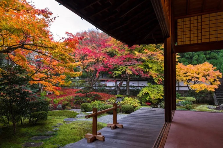 京都　秋の泉涌寺